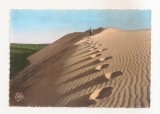 FA111 -Carte Postala- FRANTA - Bassin D'Arcachon. La Dune du Pyla, circulata 1963