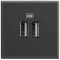 Priza USB tip A dubla 5V 3000mA Axolute Bticino 2M antracit HS4285C2