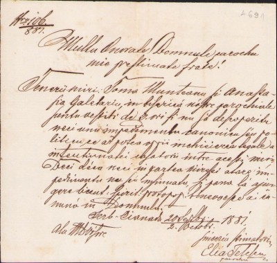 A2049 Licență de căsătorie, 1881, Cenad, județul Timiș foto