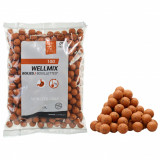 Boilies Pescuit la Crap Wellmix 14mm 1 kg Monstercrab, Caperlan