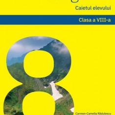 Geografie. Caietul elevului clasa a VIII-a - Paperback brosat - Carmen Camelia Rădulescu, Ionuţ Popa, Steluţa Dan - Art Klett