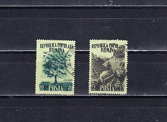 M1 TW 1 - 1956 - Luna padurii foto