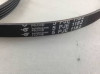 Curea Masina Spalat Hutchinson Poly V 5PJE1182 C24