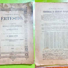 D656-ERTESITÖ KOZLONYE Timisoara 1910-Carte maghiara rara. Dr. BERKESZI ISTVAN .