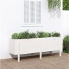 Gossi strat inaltat de gradina, alb, 160x50x57 cm, lemn masiv de pin