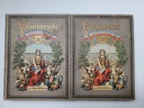 Cumpara ieftin 2 vol Editie de Lux Friedrich von Hellwald, Frankreich in Wort und Bild, Litografii inserate si in text, 1886!!