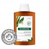 Sampon antimatreata cu galangal, 200ml, Klorane