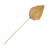 Cumpara ieftin Decoratiune frunza Walsy Natural H135 cm