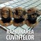 Razbunarea cuvintelor Adrian Nastase