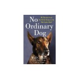 No Ordinary Dog: My Partner from the Seal Teams to the Bin Laden Raid