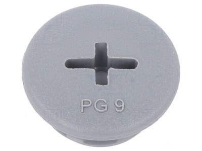 Capac Protecție PG9 Poliamidă Gri &amp;Icirc;nchis 6mm foto