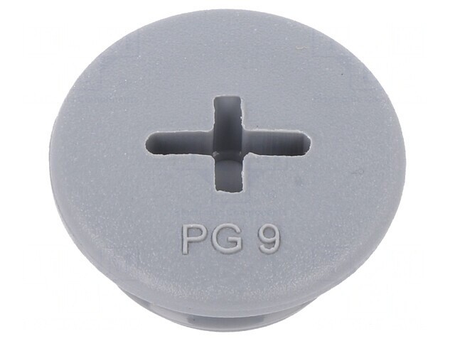 Capac Protecție PG9 Poliamidă Gri &Icirc;nchis 6mm