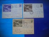 HOPCT LOT 2677 -IP-BAILE FELIX -JUD BIHOR-3 CARTI POSTALE-CIRCULATE, Circulata, Printata