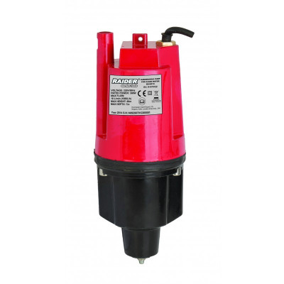 Pompa submersibila apa curata Raider, 300 W, 2900 rpm, 3/4 inch, 60 m, 1080 l/h foto