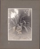 P2/207 Emigrant maghiar din Transilvania &icirc;n Uruguay, 1931, Montevideo