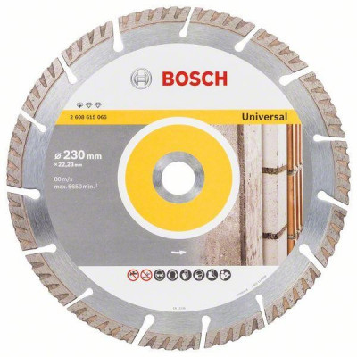 Bosch Professional disc diamantat 230x22.23x2.6x10 mm universal foto