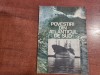 Povestiri din Atlanticul de Sud de Mircea Novac