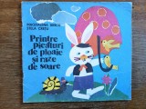 Printre picaturi de ploaie si raze de soare - Stela Cretu , 1983 / R7P2S