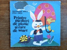 Printre picaturi de ploaie si raze de soare - Stela Cretu , 1983 / R7P2S