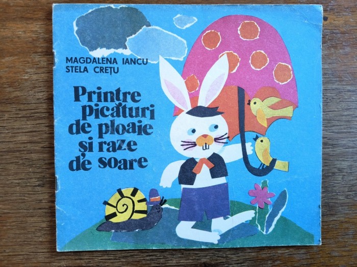 Printre picaturi de ploaie si raze de soare - Stela Cretu , 1983 / R7P2S