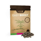 Ingrasamant Organic Easy Boost , marca Royal Queen Seeds , cantitate100g