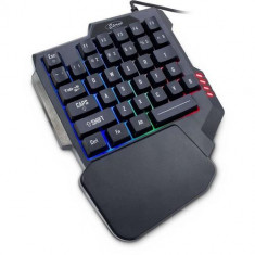 Tastatura Gaming Inter-Tech Etherno KB-3035, iluminare RGB, USB (Negru)