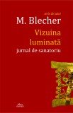 Vizuina luminata | Max Blecher, 2021, Cartex