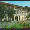 CPIB 18733 CARTE POSTALA - CLUJ . MUZEUL DE ARTA, NECIRCULATA