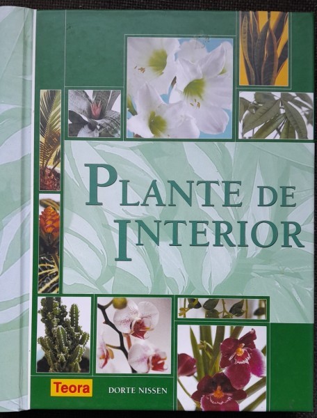 Plante de interior - Dorte Nissen