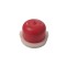 Pompa amorsare Briggs &amp; Stratton seriile 450E/500E/550E