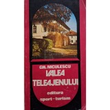Gh. Niculescu - Valea Teleajenului (semnata) (Editia: 1981)