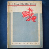 Cumpara ieftin CULTURA TRANDAFIRILOR - E. LUBAN