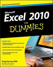 Excel 2010 for Dummies foto