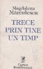 Trece prin tine un timp