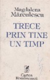 Trece prin tine un timp