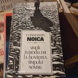 SIMPLE INTRODUCERI LA BUNATATEA TIMPULUI NOSTRU - CONSTANTIN NOICA