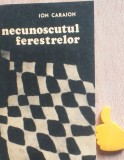 Necunoscutul ferestrelor Ion Caraion