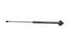 Amortizor haion dreapta TOYOTA PRIUS _W3_ 2013 OEM: 68950-0W542 17384579
