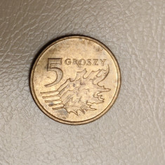 Polonia - 5 Groszy (2003) - monedă s248