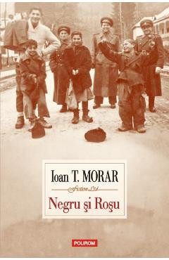 Negru si Rosu - Ioan T. Morar foto