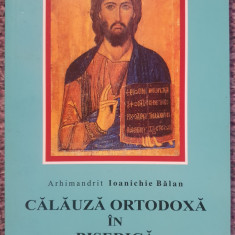 Calauza ortodoxa in biserica, I, arhimandrit Ioanichie Balan, 2010, 210 pagini