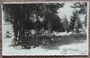 Mormantul lui Avram Iancu// foto tip CP 1946, Romania 1900 - 1950, Portrete