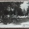 Mormantul lui Avram Iancu// foto tip CP 1946