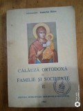 Calauza ortodoxa in familie si societate-vol 2-Arh.Ioanichie Balan