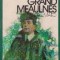Le grand Meaulnes