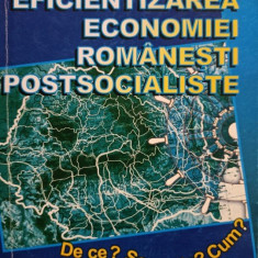 N. G. Niculescu - Eficientizarea economiei romanesti postsocialiste (2000)