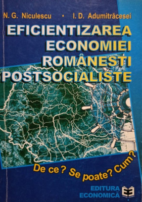 N. G. Niculescu - Eficientizarea economiei romanesti postsocialiste (2000) foto