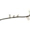 Mufa alimentare Laptop, Dell, Inspiron 16 7610, 066W71, 0H0FJ5, H0FJ5, 450.0N309.0001, CYBG H16 DCIN CABLE GTX