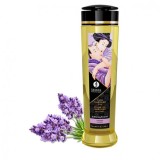 SHUNGA - SENSATION EROTIC MASSAGE OIL 240 ML, SHUNGA OILS