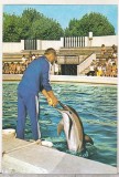 bnk cp Constanta - Delfinariu - necirculata